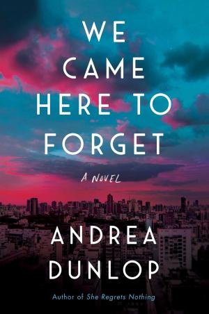 Cover of the book We Came Here to Forget by Anne Easter Smith