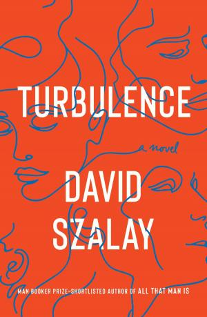 Cover of the book Turbulence by Izzibella Beau