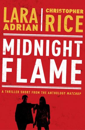 Cover of the book Midnight Flame by Lisa Lutz