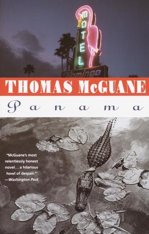Cover of the book Panama by Charles Yu
