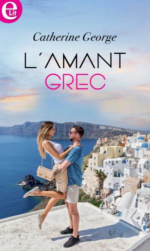 Cover of the book L'amant grec by Shannon Farrington