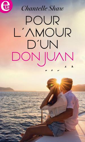 bigCover of the book Pour l'amour d'un don Juan by 