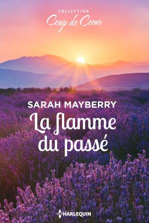 Cover of the book La flamme du passé by Julie Perry
