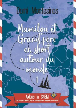 Cover of the book Mamilou et Grand-père en short autour du monde 1 by Peter Dreier