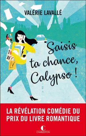 Cover of the book Saisis ta chance, Calypso ! by Eric Fritzius