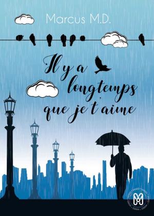 Cover of the book Il y a longtemps que je t'aime by Cha Raev