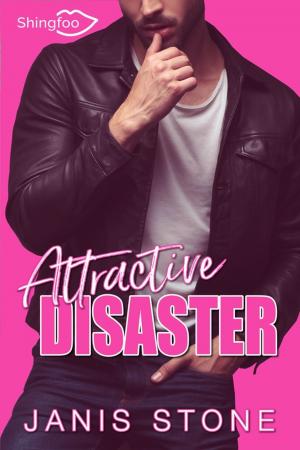 Cover of the book Attractive Disaster by Thang Nguyen