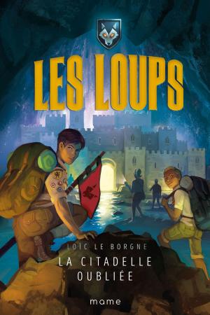 Cover of the book La citadelle oubliée by Geneviève Veuillot