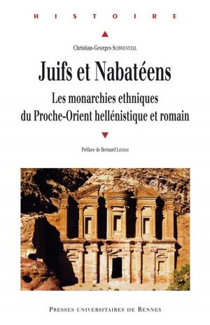 Cover of the book Juifs et Nabatéens by Cécile Treffort