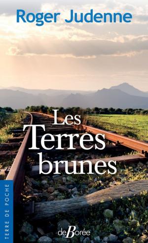 Book cover of Les Terres brunes