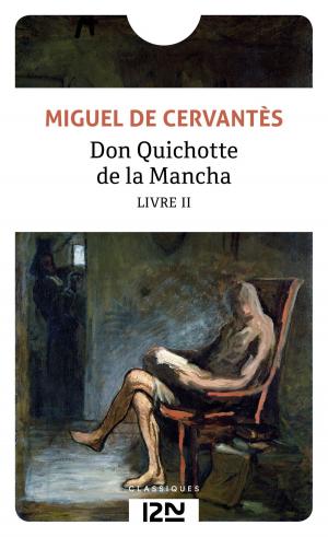 Cover of the book Don Quichotte volume 2 by Stephane DESCORNES, Christophe LAMBERT