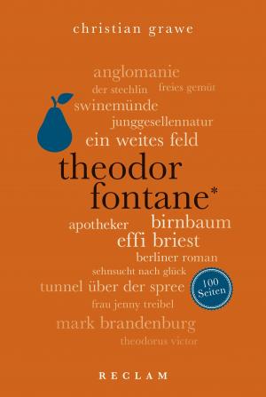 Cover of the book Theodor Fontane. 100 Seiten by Karl Marx, Friedrich Engels, Rahel Jaeggi