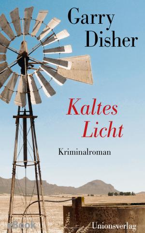 Cover of the book Kaltes Licht by Amélie Schenk, Galsan Tschinag