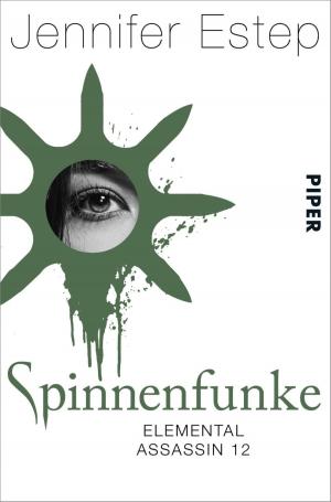 Cover of the book Spinnenfunke by Christine Thürmer