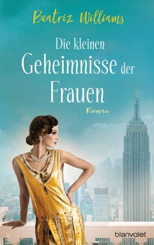 Cover of the book Die kleinen Geheimnisse der Frauen by Sophie Bonnet