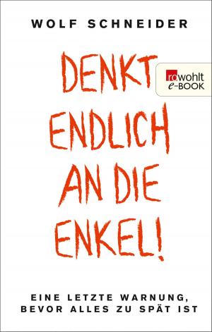 Cover of the book Denkt endlich an die Enkel! by Manfred Geier