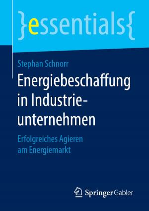 Cover of the book Energiebeschaffung in Industrieunternehmen by Susanne Schnell