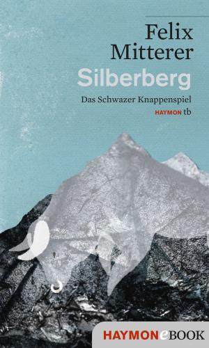 Cover of the book Silberberg by Felix Mitterer