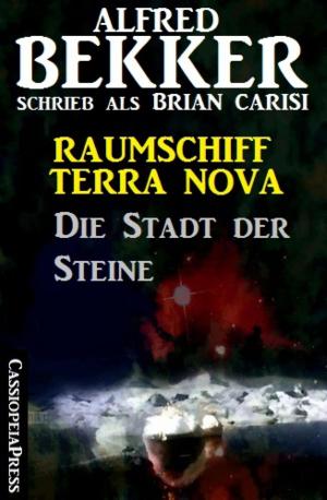 Book cover of Raumschiff Terra Nova - Die Stadt der Steine
