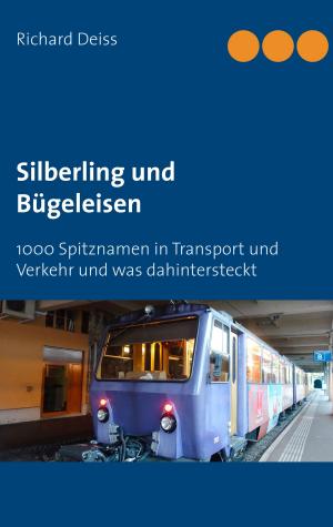 Cover of the book Silberling und Bügeleisen by Thomas Sonnberger
