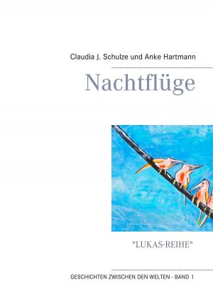 Cover of the book Nachtflüge by Irene Zahn