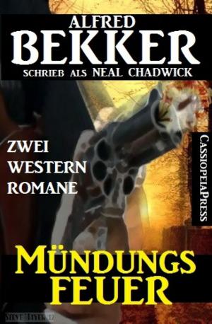 Cover of the book Mündungsfeuer: Zwei Western Romane by Alexis Debary