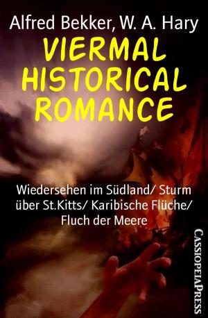 Cover of the book Viermal Historical Romance by Julie Steimle