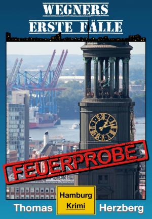 Cover of the book Feuerprobe (Wegners erste Fälle) by J.M. Barber