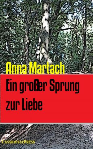 Cover of the book Ein großer Sprung zur Liebe by Mattis Lundqvist