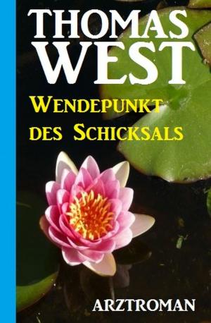 Cover of the book Wendepunkt des Schicksals by Alfred Bekker, Peter Schrenk