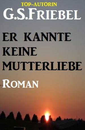 Cover of the book Er kannte keine Mutterliebe by Horst Weymar Hübner