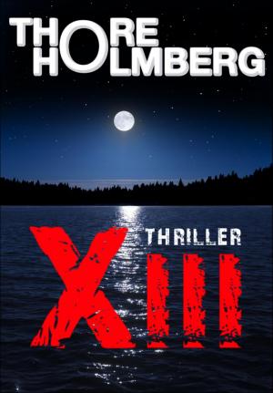 Cover of the book XIII - Thriller by JH Gordon