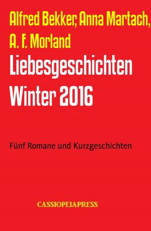 Book cover of Liebesgeschichten Winter 2016