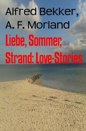 Book cover of Liebe, Sommer, Strand: Love-Stories