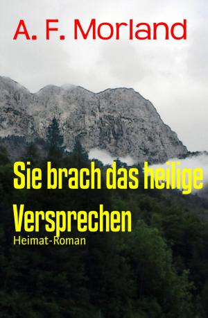 Cover of the book Sie brach das heilige Versprechen by Siwa Rubin