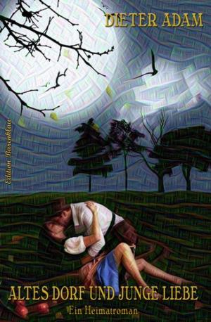 Cover of the book Altes Dorf und junge Liebe by Manuela Andersen
