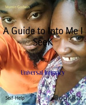 Book cover of A Guide to Into Me I SeeK