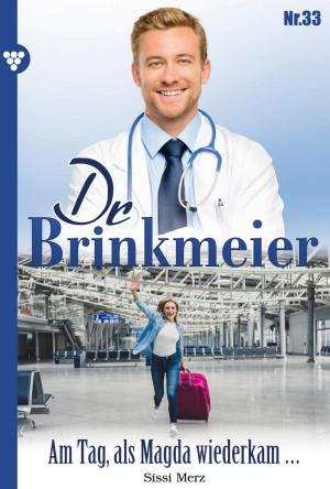 Book cover of Dr. Brinkmeier 33 – Arztroman