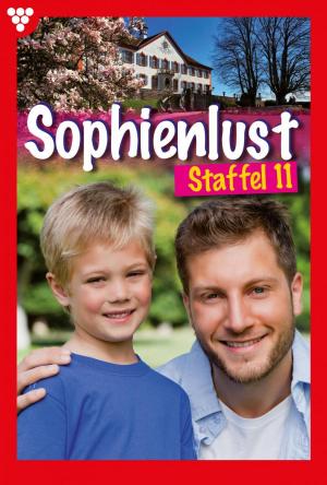 Cover of the book Sophienlust Staffel 11 – Familienroman by Jutta von Kampen