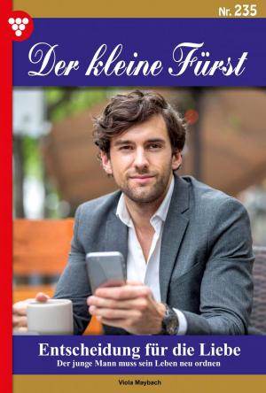 Cover of the book Der kleine Fürst 235 – Adelsroman by Laura Martens