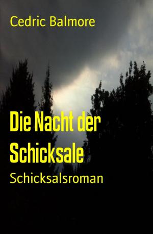Cover of the book Die Nacht der Schicksale by Julie Steimle