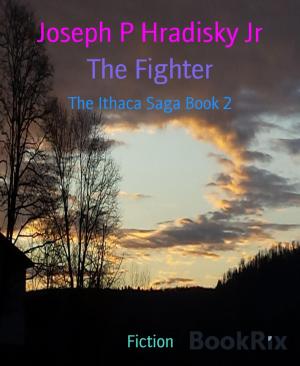Cover of the book The Fighter by Hentai Jones