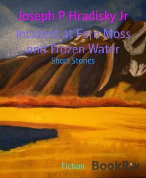 Cover of the book Incident at Fern Moss and Frozen Water by Glenn Stirling