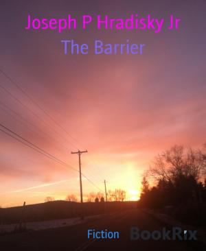 Cover of the book The Barrier by Joseph P Hradisky Jr