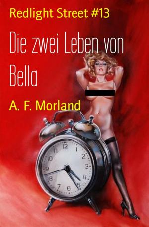 Cover of the book Die zwei Leben von Bella by Mitchell Isaac Friedman
