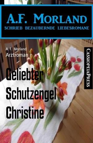 Cover of the book Geliebter Schutzengel Christine by Stephanie Allen