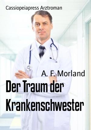 Cover of the book Der Traum der Krankenschwester by Angelika Nylone