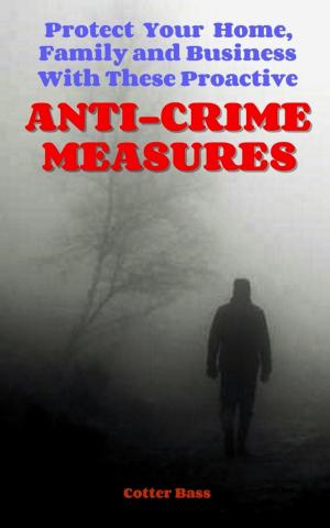 Cover of the book ANTI-CRIME MEASURES by Hentai Jones