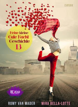 Cover of the book Meine kleine Gute Nacht Geschichte: 13 by Chaun Conscious