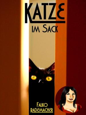Cover of the book Katze im Sack by Margret Schwekendiek